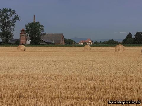 Stroh : Die Getreidefelder sind hier schon abgeerntet. Es ist einfach der wärmste Teil Deutschlands. 