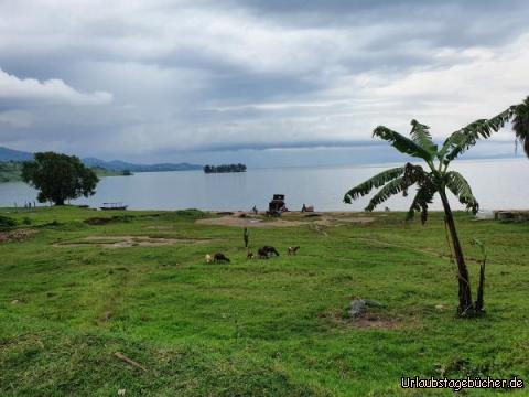 Am Kivu Lake: Wieder am Kivu-Lake