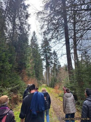 Höchste Weißtanne: 