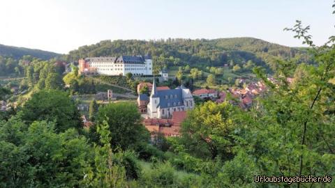 Blick zum Schloß: Blick zum Schloß