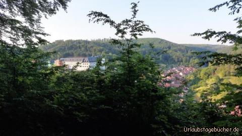 Blick von Lutherbuche: Blick von Lutherbuche
