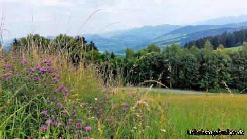 Panorama: Panorama