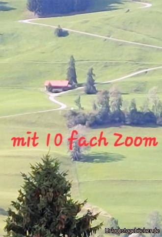 Ausschnitt 10 fach vergrößert: Ausschnitt 10 fach vergrößert