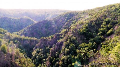 Blick ins Tal: Blick ins Tal