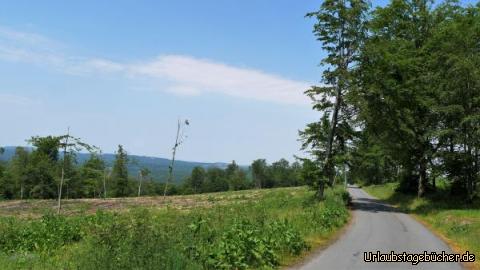 Blick über den Harz: Blick über den Harz