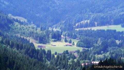 Blick ins Tal: Blick ins Tal
