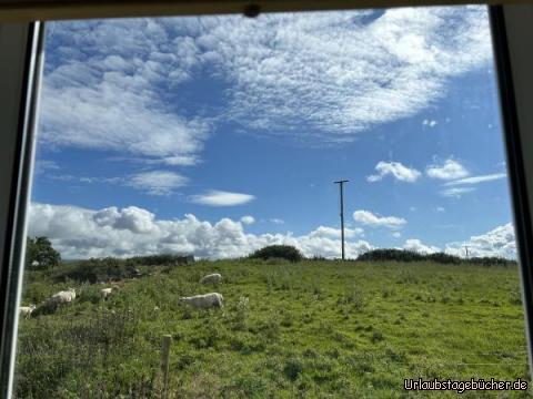 Good Morning : …Guten Morgen…unsere Nachbarn vom Küchenfenster aus gesehen…