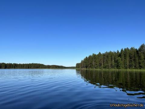 Wasser: …vom Ruderboot aus gesehen…
