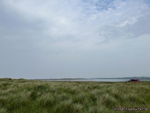 Landschaft : 