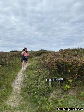 Strand: …verschiedene Wege führen zum Strand…
