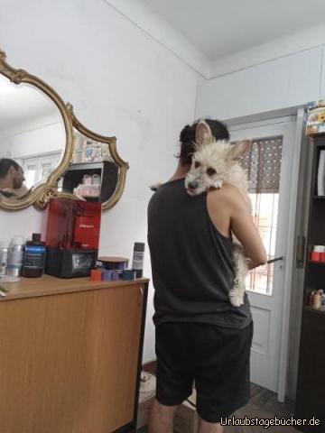 Sisu: Sisu, die Hündin meines Bruders 