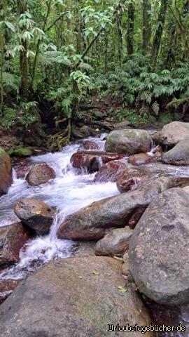 Martinique F: 