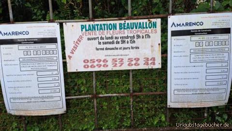 Martinique B1: 