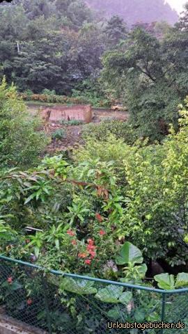 Dominica C2: 