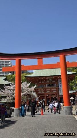 Ikuta: 