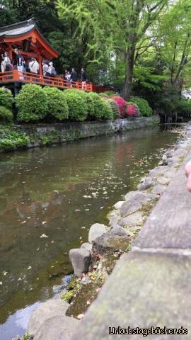 Nezu: 