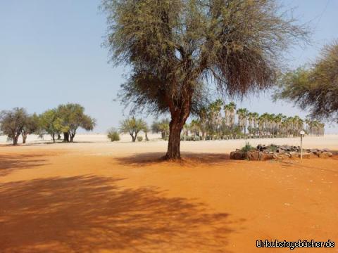 Rote Düne: Kalahari 