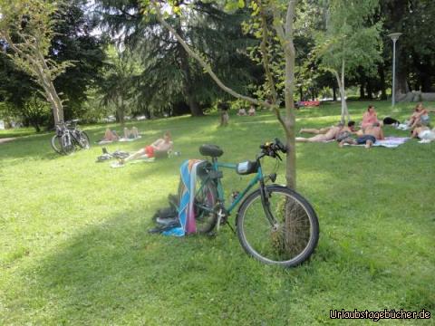 Liegewiese: Am Langensee auf einer Liegewiese