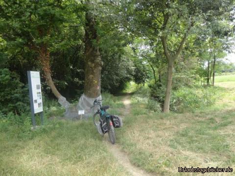 Wanderweg: Plötzlich dank Garmin auf einem Wanderweg gelandet, trotz meiner Angabe ein Rennradbenutzer zu sein.