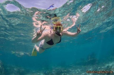 Schnorcheln3: Schnorcheln Teil 2. Diesmal an einem anderen Platz.