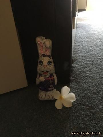 osterhase: Der Osterhase hat es auch nach Australien geschafft :-)