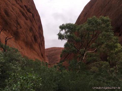 outback12: 