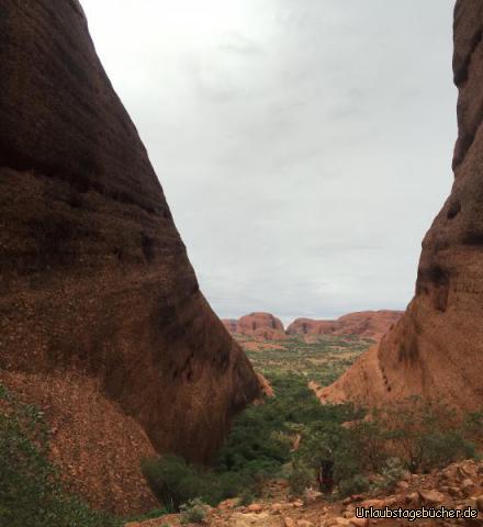 outback13: 