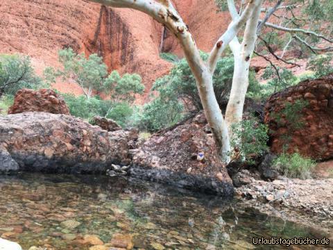 outback14: 