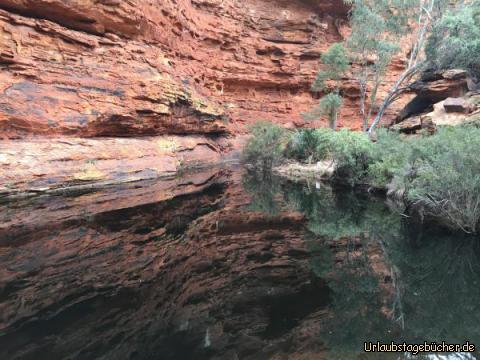 outback21: 
