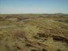 bizarre Hügel: bizarre Hügellandschaft in Namibia
(der kleine schwarz-weiße Punkt in der linken Bildhälfte ist übrigens Katy)