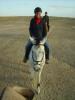 Katy reitet: Katy reitet durch die Namib auf Al Capone
