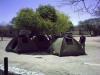 Zelte im Schatten: im Etosha Nationalpark fällt es schwer, Schatten für das Zelt zu finden