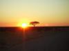 Sonnenaufgang: Sonnenaufgang über dem Etosha Nationalpark