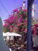 Chillout-Bar: Blick aus unserer Chillout-Bar auf Antiparos