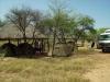 Zeltplatz: unser Zeltplatz im Ghanzi Trail Blazers in Botswana