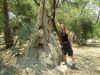 Termitenhügel: Katy neben einem Termitenhügel auf unserem Zeltplatz bei Maun