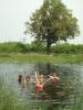 baden: wir baden im Okawango Delta