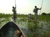 Fahrt mit Mokoros: unsere Fahrt mit den Mokoros durchs Okawango Delta