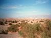 Mesquite Flats: die Mesquite Flats Sanddünen im Death Valley