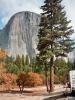 El Capitan: der El Capitan – eine etwa 1km hohe Felswand im Yosemite National Park