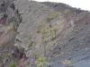 Vuilkanlandsschaft La Palma: Vuilkanlandsschaft La Palma