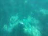 Unterwassersicht auf dem Yellow Katamaran: Unterwassersicht auf dem Yellow Katamaran