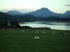 Gairloch : weidende Schafe in Gairloch,
während die Sonne hinter den Bergen am Loch Gairloch untergeht