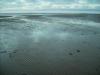 Strand: der durch die Ebbe sehr breite Strand von Dornoch am Dornoch Firth,
einem Meeresarm der Nordsee 