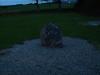 Witch’s Stone: der etwas unscheinbare Witch’s Stone in einem privaten Garten von Dornoch
erinnert an die letzte Hexenverbrennung Schottlands
