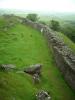 Katy neben Hadrianswall: ich neben dem von 122 bis 128 n. Chr. erbauten,
damals 117,5 km langen Hadrianswall