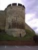 Lincoln Castle: Eno an der Schlossmauer des Lincoln Castle aus dem 11. Jh.