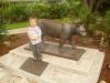 Coe Visitor Center: Viktor vor der Statue eines Pumas
am Ernest F. Coe Visitor Center im Everglades National Park