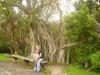 Anhinga Trail: Mama (Katy) mit Viktor auf einer Bank vor einer Mangrove
am Anhinga Trail im Everglades National Park Florida