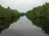 Flamingo Canal: wir fahren auf dem Flamingo Canal vom Flamingo Visitor Center aus
tief in den Everglades National Park hinein